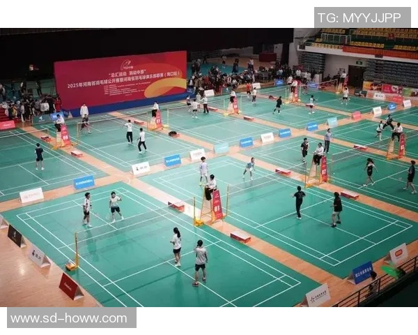 羽毛球赛事场馆环境对运动员表现影响探讨