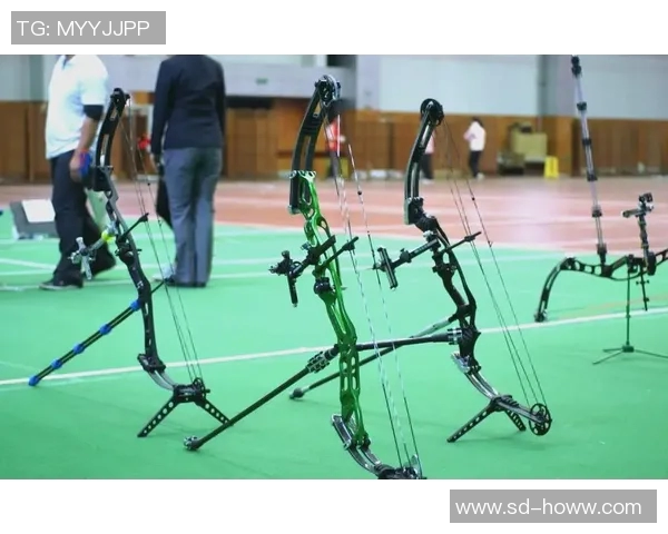 奥运会射箭比赛技术动作优化研究与提高运动员竞技水平的策略探讨 奥运会射箭比赛技术动作优化研究与提高运动员竞技水平的策略探讨